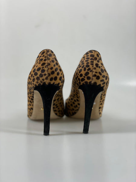 Sergio Rossi pumps 38 SV12651